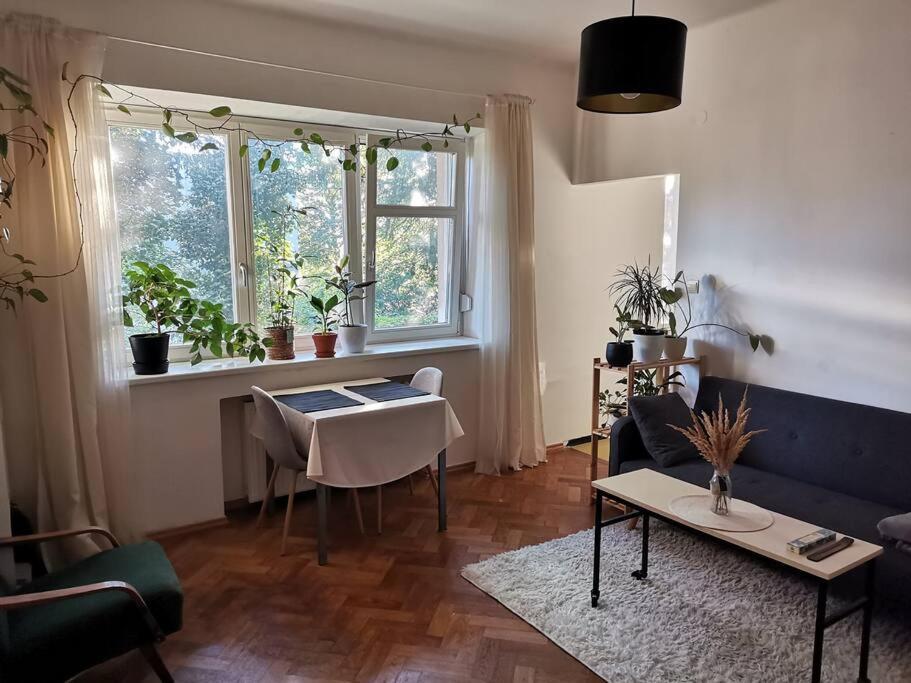 Cozy Studio In The City Centre Near Train Station 布拉迪斯拉发 外观 照片