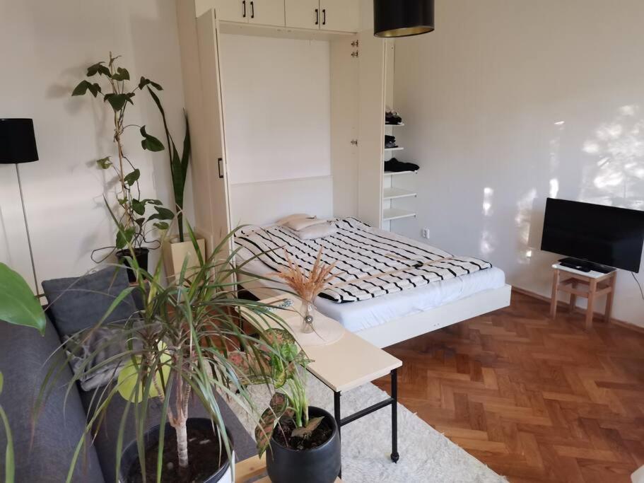 Cozy Studio In The City Centre Near Train Station 布拉迪斯拉发 外观 照片