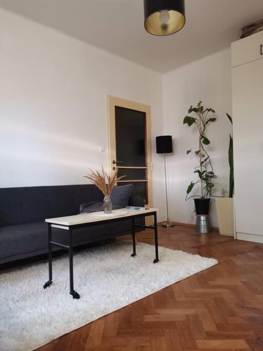 Cozy Studio In The City Centre Near Train Station 布拉迪斯拉发 外观 照片